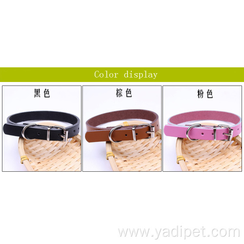 teddy poodle small wholesale pet dog collar